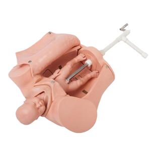 弘模HOM/F402A手摇分娩机制示教模型妇产科孕妇胎儿脐带助产护理训练教学假人体模具