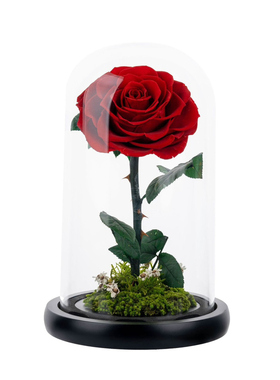 礼盒真花小王子玫瑰永生花