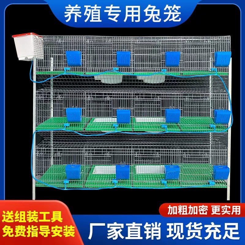 新型兔笼养殖笼加粗加密热镀锌兔笼子特大号兔笼兔笼弹簧门母兔笼