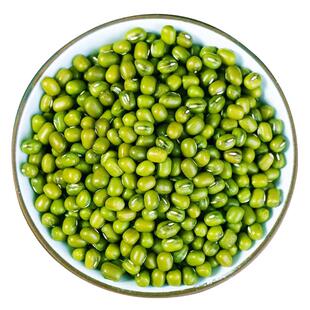 农家绿豆新货发豆芽专用小绿豆优质杂粮大粒毛糯绿豆绿小豆绿豆汤