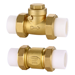 PPR止回阀4分6分铜卧立式双活接单向阀逆止自来水管表dn20/25热熔