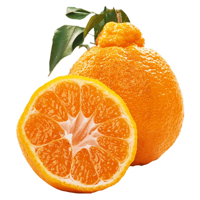 丑八怪丑橘耙耙柑橘子新鲜蜜橘桔子当季时令水果整箱粑柑橘春青见