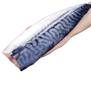 挪威进口青花鱼片鲭鱼新鲜冷冻大号鲐鲅鱼日式盐渍青占鱼烧烤商用