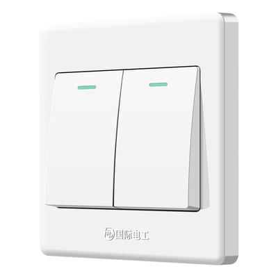 国际电工二开双控2位双开双联