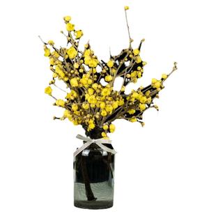 鲜切腊梅鲜花水养枝条带花苞四川素心梅浓香型室内客厅年宵花卉