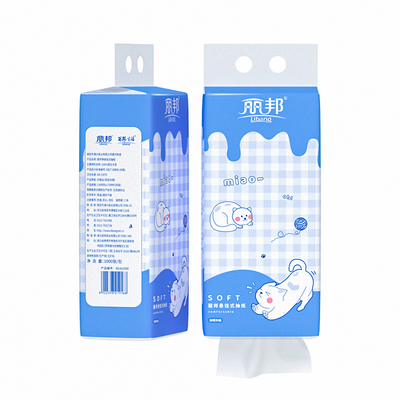 丽邦挂式抽纸厕纸纸巾家用卫生纸