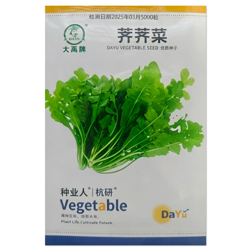 荠荠菜种子野菜蔬菜种子