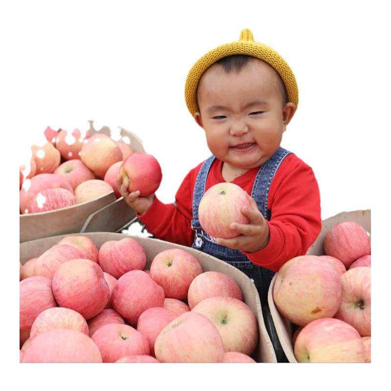 �����ĳ�ƻ��9�����ɽƻ������ˮ�����������и��Ĵ���ԴƼ��10 60-65mm 2��7.7Ԫ