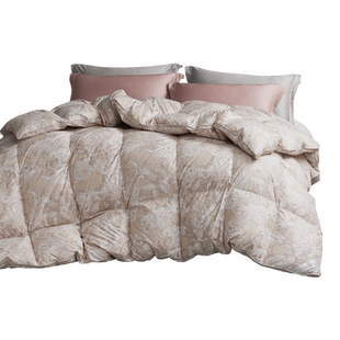 阿思家精品手选绒现充羽绒被1对1定制