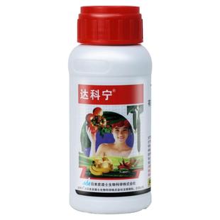日本达科宁40%百菌清 黄瓜番茄葡萄霜霉病炭疽病农药杀菌剂100g