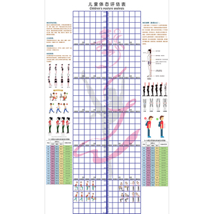 儿童体态评估图舞蹈艺校培训形体纠正体测表墙贴青少年身体评估表