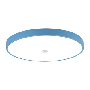 玄关可调感应卫生间声控吸顶灯