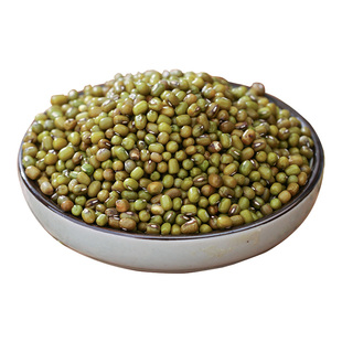 绿豆新货农家自产当季新豆可发芽粮油颗粒饱满肉多皮薄杂粮