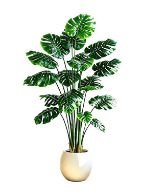 仿真绿植假龟背竹高端轻奢大盆栽