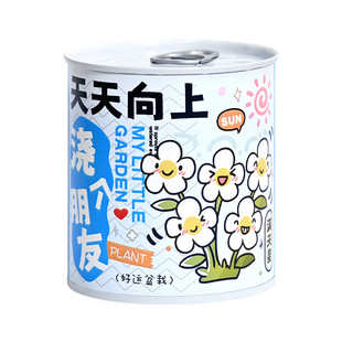 小学生植物盲盒种植儿童罐头种植小盆栽六一儿童节礼物学生迷你H