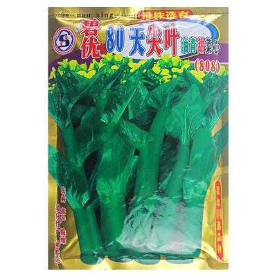 碧优80天尖叶油青油绿新鲜甜菜