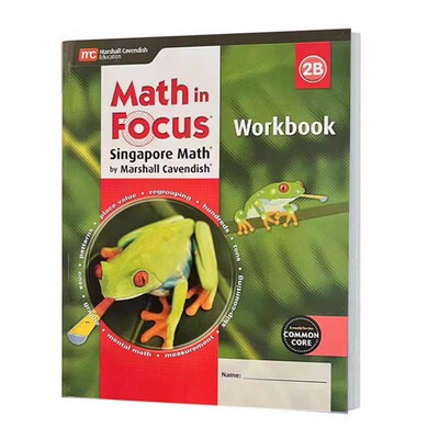 美国数学练习册MathinFocus3B