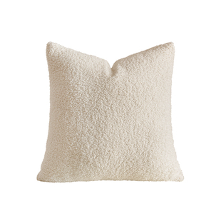 泰迪绒抱枕冬季毛绒奶油风客厅沙发床上靠垫靠背腰枕轻奢高级靠枕