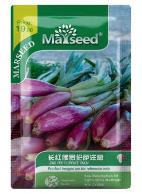 可盆栽新鲜食用沙拉的甜洋葱种子