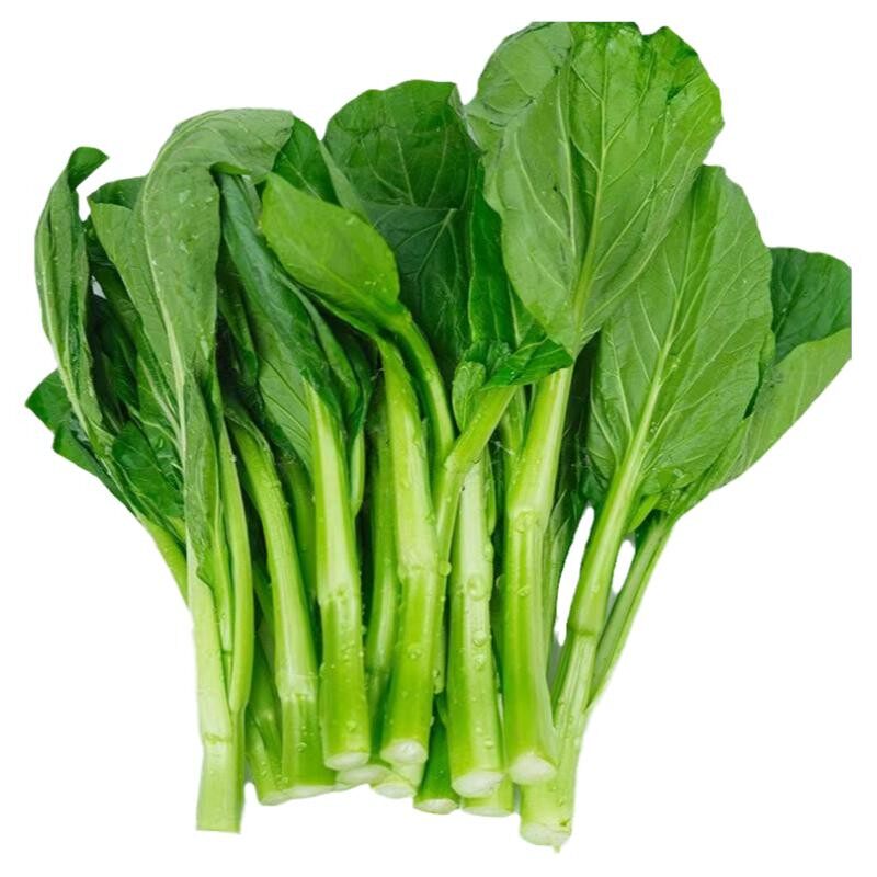 新鲜现摘嫩菜心顺丰冷链保鲜发货