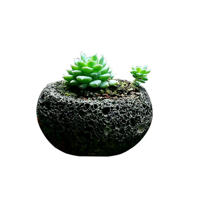 火山石头岩天然非透明陶瓷加仑花盆特价清仓包邮室内绿植多肉盆栽