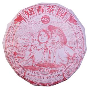 大沁白茶 2024年新品 知青白牡丹 福鼎磻溪白茶饼 300g