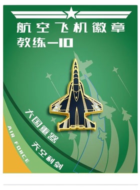 中国珠海航展歼10战斗飞机徽章