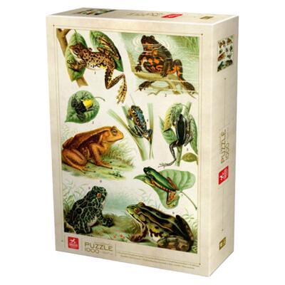 罗马尼亚进口青蛙益智拼图现货