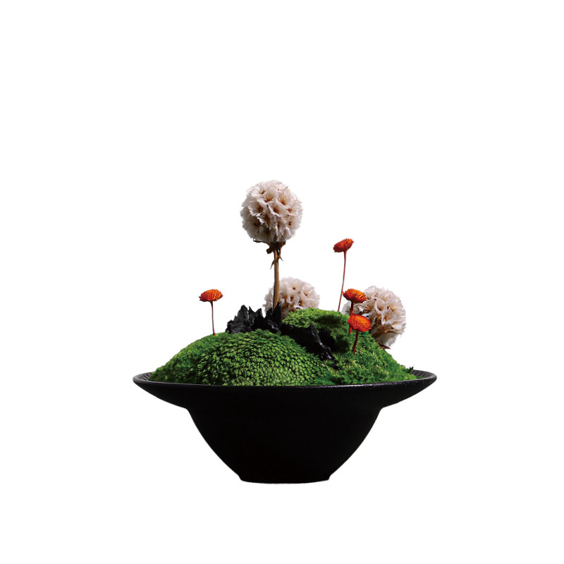天青苔绿 新中式现代陶瓷花器永生苔藓微景观 样板间会所酒店摆件
