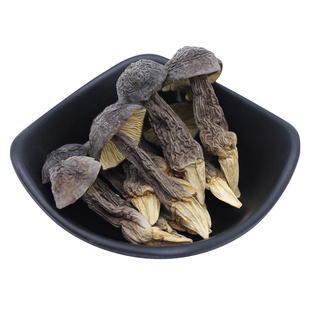 黑皮鸡纵菌干货新鲜云南鸡枞菌干鸡纵菇干货食用菌香菇蘑菇下饭菜