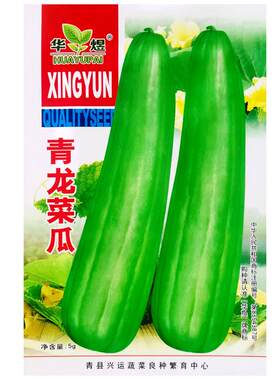 青龙菜瓜种子青绿皮白肉清香甜美