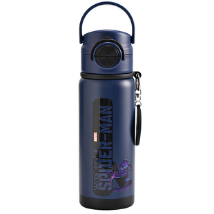 迪士尼儿童保温杯男孩吸管水杯小学生上学专用316不锈钢双饮水壶