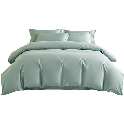 冬冬宝A类纯色铂金棉四件套