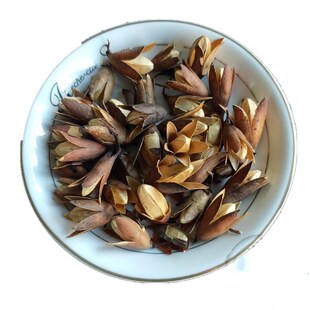 香铃子 香椿子500g香椿树花种子果实香椿树籽中药材香椿果籽