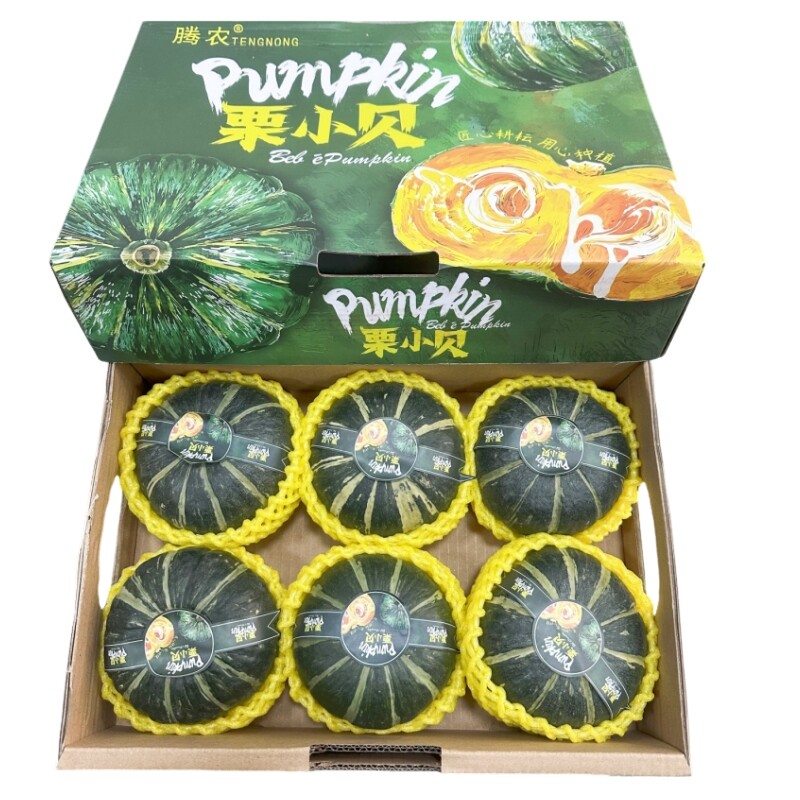 现货贝贝小南瓜板栗味5-6只礼盒辅食香甜粉糯贝贝南瓜新鲜好包邮