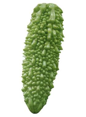 蔬菜台湾翠玉生吃四季秋冬苦瓜