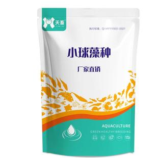 小球藻种硅藻藻种水产鱼虾蟹养殖复合藻种平衡藻相稳定水质肥调水