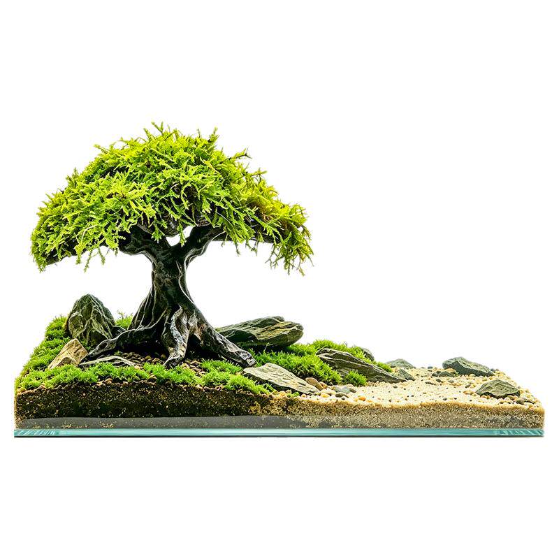 沉木莫斯树水草生态鱼缸专用造景水草树养鱼水草水培植物和鱼共养