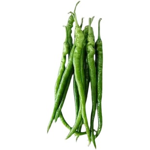 【辣爆了】特辣正宗青椒二荆条现摘现发农家自种本地辣椒新鲜