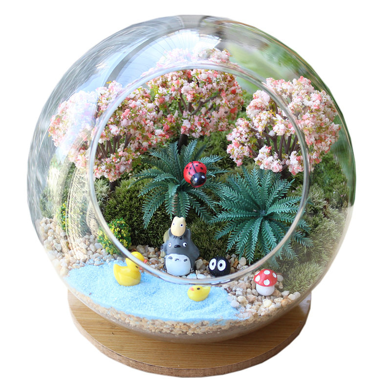 包邮微景观套装diy材料苔藓