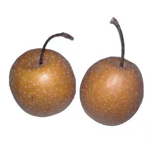 水果梨沂南特产小黑梨棠梨冬梨新鲜水果野梨农产品冰糖梨特价