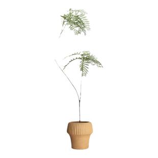 海虹雅林仿真绿植蓝花楹室内客厅落地轻奢高端装饰盆栽摆件假树