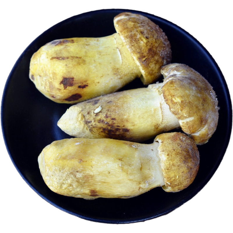 野生新鲜黄牛肝菌冰鲜白葱云南产
