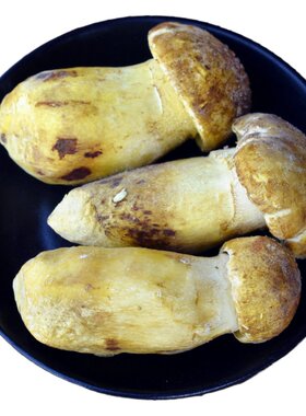 野生新鲜黄牛肝菌冰鲜白葱云南产