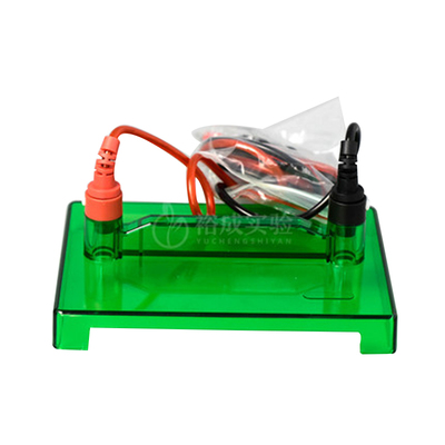 小型垂直电泳槽  通用Bio-Rad伯乐Mini-PROTEAN 3 蛋白槽 含制胶系统 电泳槽 电极芯 国产配件