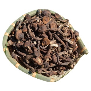 今年新货野生榛蘑丁散装包邮干货东北小鸡炖榛蘑菇无根香菇类