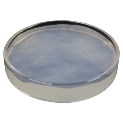 奇宏纤维素纳米晶分散液干粉纳米纤维C-CNC固含8%细菌纤维