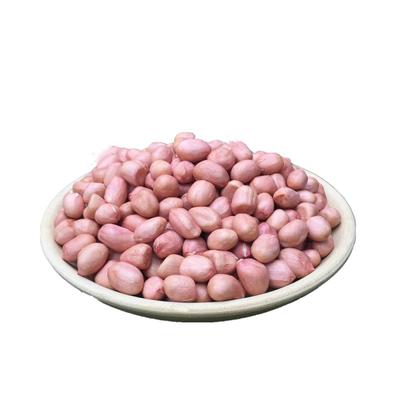 花生米河南大粒花生仁新鲜