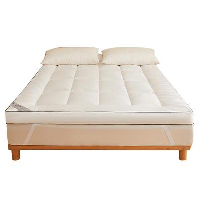 A类抗菌大豆软垫榻榻米卧室垫子