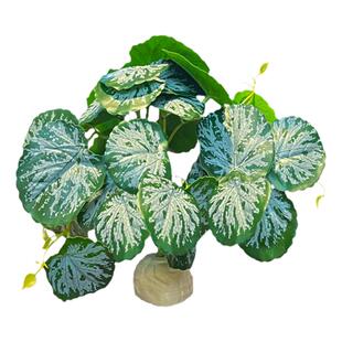 蜥蜴守宫睫角寄居蟹爬宠箱造景木头仿真假绿植物盆栽雨林装饰躲避